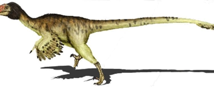 dinosaurio adasaurus