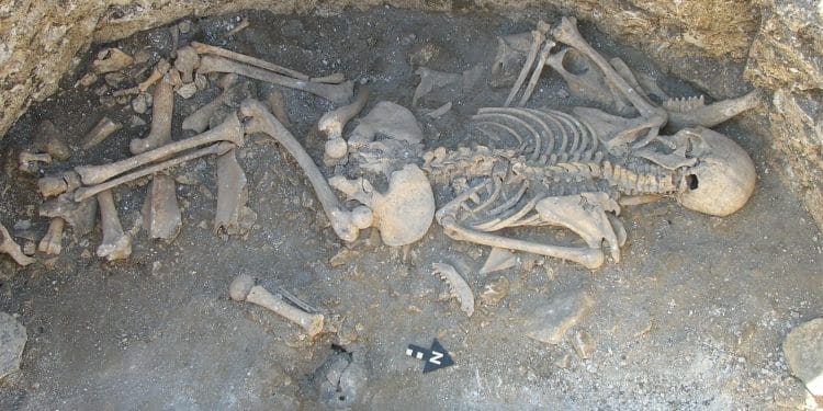 Esqueleto hallado en Dorset. Crédito: Cambridge.